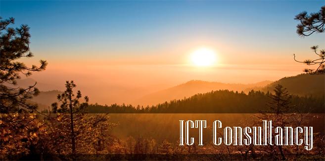 ICT Consultancy